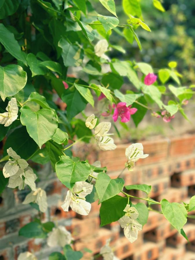 Trang An Moon Garden Homestay Ninh Binh Exterior foto